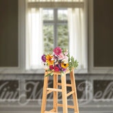 Aperturee - Elegant Curtain Window Gypsum Line Brown Backdrop